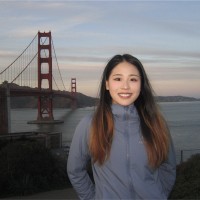 NOSO LABS(YC S25) Employee Sisi Li's profile photo