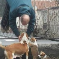 RESULTCO Employee Jeff Freedman's profile photo