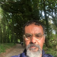 PANUS USA LLC Employee Ayman Awad's profile photo