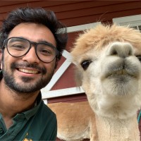 Uplimit (Formerly CoRise) Employee Ansh Godha's profile photo