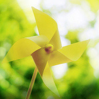 Yuan Hong's profile photo