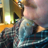 Everbrite, LLC Employee Bruce Neville's profile photo