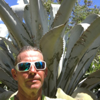 Roy McClain Email & Phone Number