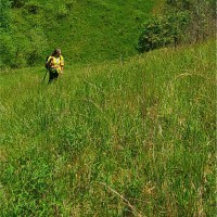 The Ottery Group, Inc. Employee Nicole Dewitt's profile photo