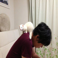 Software Bank Employee Eiji Yoshizaki's profile photo