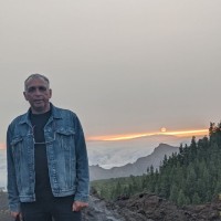 HTFX Limited Employee Levy B.'s profile photo