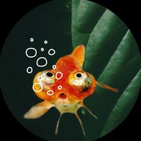 Tomorrow Jobs Employee Francis de's profile photo