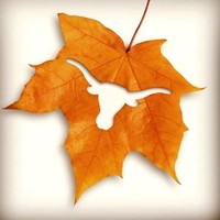 Avance Biosciences, Inc. Employee Fade Gong's profile photo