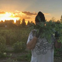 Secural Employee Jonathan Mack's profile photo