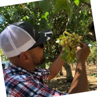 Irritec Employee Beau Fuller's profile photo