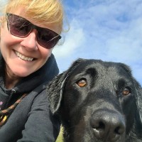 Tracy Strachan Email