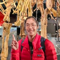 Streamotion Employee Dale Lim's profile photo