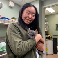 Canada Learning Code Employee Gloria Wang's profile photo