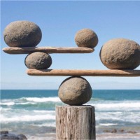 Department of Energy, Environment and Climate Action Employee Vanya Kumar's profile photo