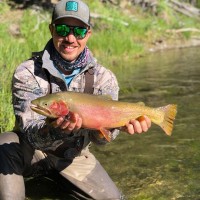 Trent Metzger Email & Phone Number