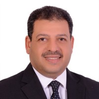 Yasser Amer Email