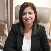 Koska Employee Serpi̇L K.'s profile photo