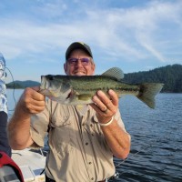 Stephen Mounce Email & Phone Number