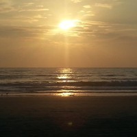 Fields Auto Group Employee Steve McDonald's profile photo