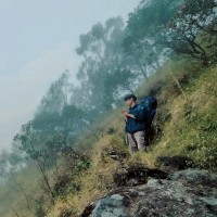 Diky Adex Email