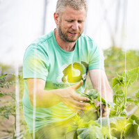 Bit Solutions Employee Davy Agten's profile photo