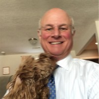 Joe French Email