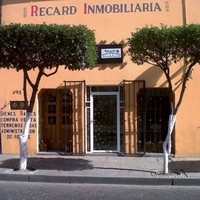 RECARD INMOBILIARIA Employee René Cano's profile photo