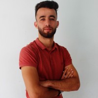 Mohamed Hamici Email