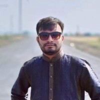Kuldip Raval Email