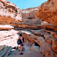 Pine River Library Employee Kelly McMurtrey's profile photo