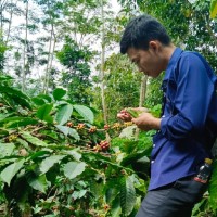 Sigit Hermawan Email