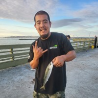 ZeroNox, Inc. Employee Mark Bagasol's profile photo