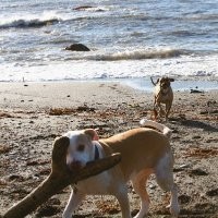 City Of Brookings Employee Alex Frederick's profile photo