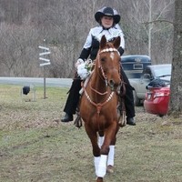 Howard Hanna Professionals - Wellsboro Employee Penny Moore's profile photo