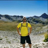 Luca Visone Email