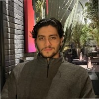 Ali Babaei Email