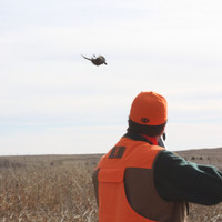 ARC Services  (Veteran Owned) Employee Bob Gordon's profile photo