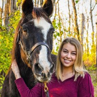 New Home Collective-Keller Williams Greater Lex Employee Morgan Knox's profile photo