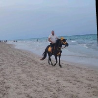 GFB Employee Anis Babay's profile photo