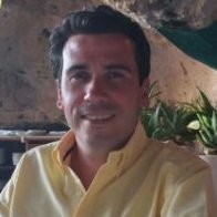 Joao F Guerreiro C Email