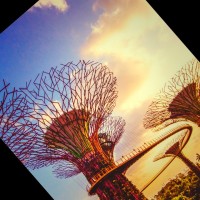 I-O & YT Pte Ltd Employee Tan Quan's profile photo