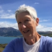 ACCE International Employee Anne Goldman's profile photo