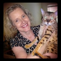Freelance Writer and Blogger Employee Julie Welch's profile photo