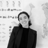 Municipalidad de Temuco Employee Francisca Pizarro Stangl's profile photo