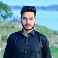 Steed Solutions Employee Hamid Z.'s profile photo
