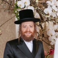 EcoTouch LLC Employee Aron Kohn's profile photo