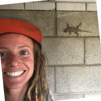 BluSky Restoration Contractors (formerly Mammoth Restoration) Employee Erin Brugler's profile photo