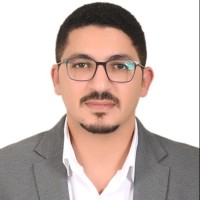 Amr Salem Email