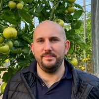 Ficosterra Employee Alejandro Martinez Quesada's profile photo