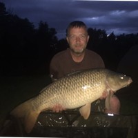 Adrian Walsh Email